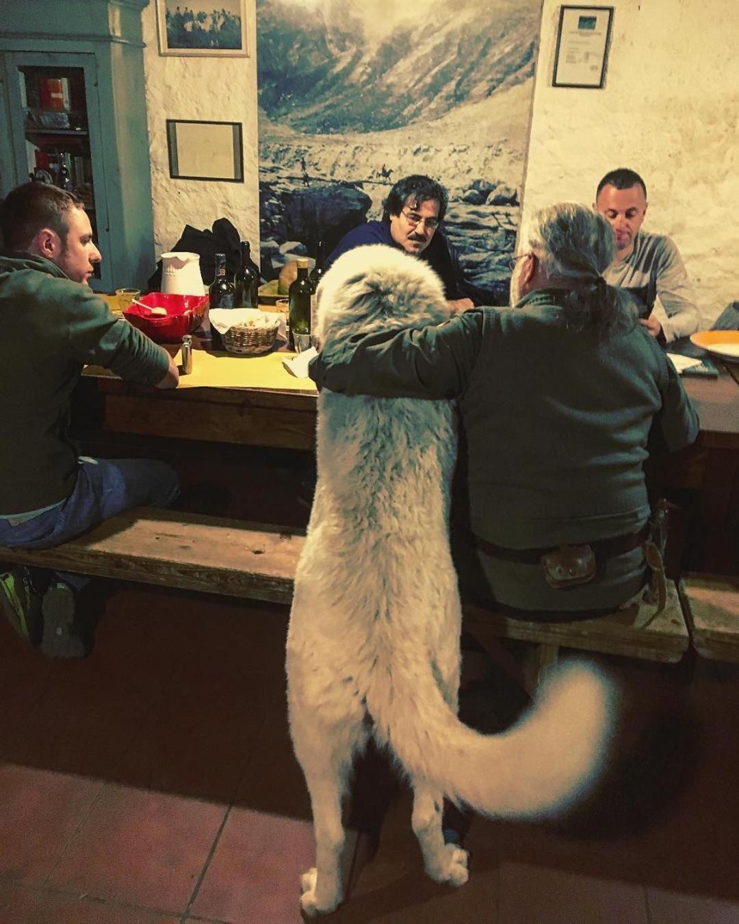 Centro Trekking A Cavallo Monte Brugiana Affittacamere Massa  Esterno foto
