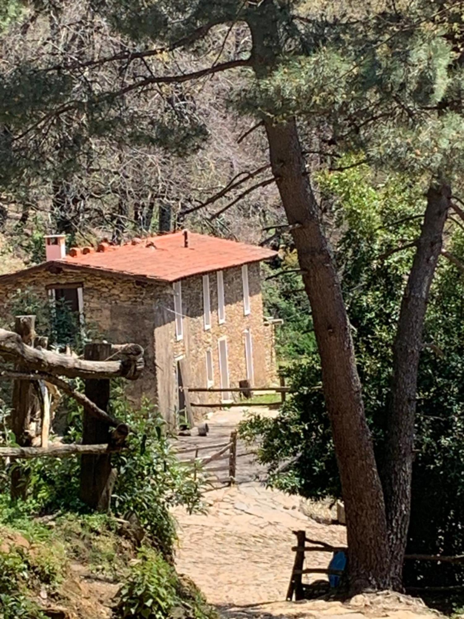 Centro Trekking A Cavallo Monte Brugiana Affittacamere Massa  Esterno foto