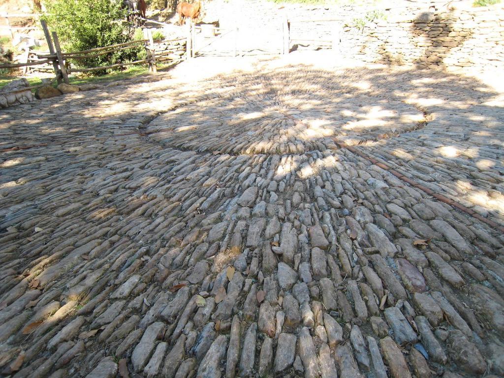 Centro Trekking A Cavallo Monte Brugiana Affittacamere Massa  Esterno foto