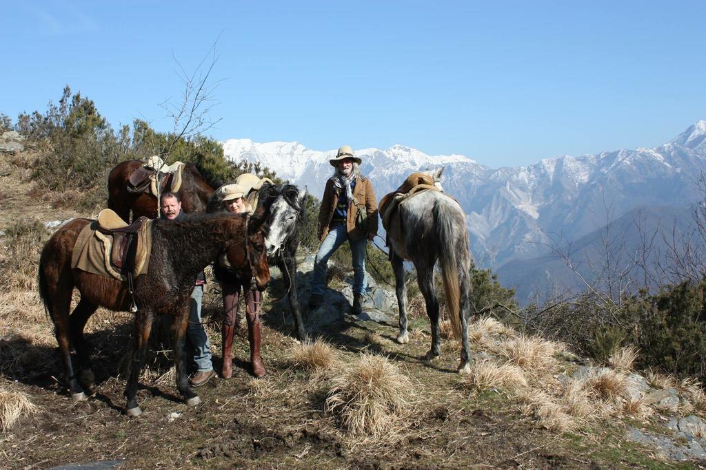 Centro Trekking A Cavallo Monte Brugiana Affittacamere Massa  Esterno foto