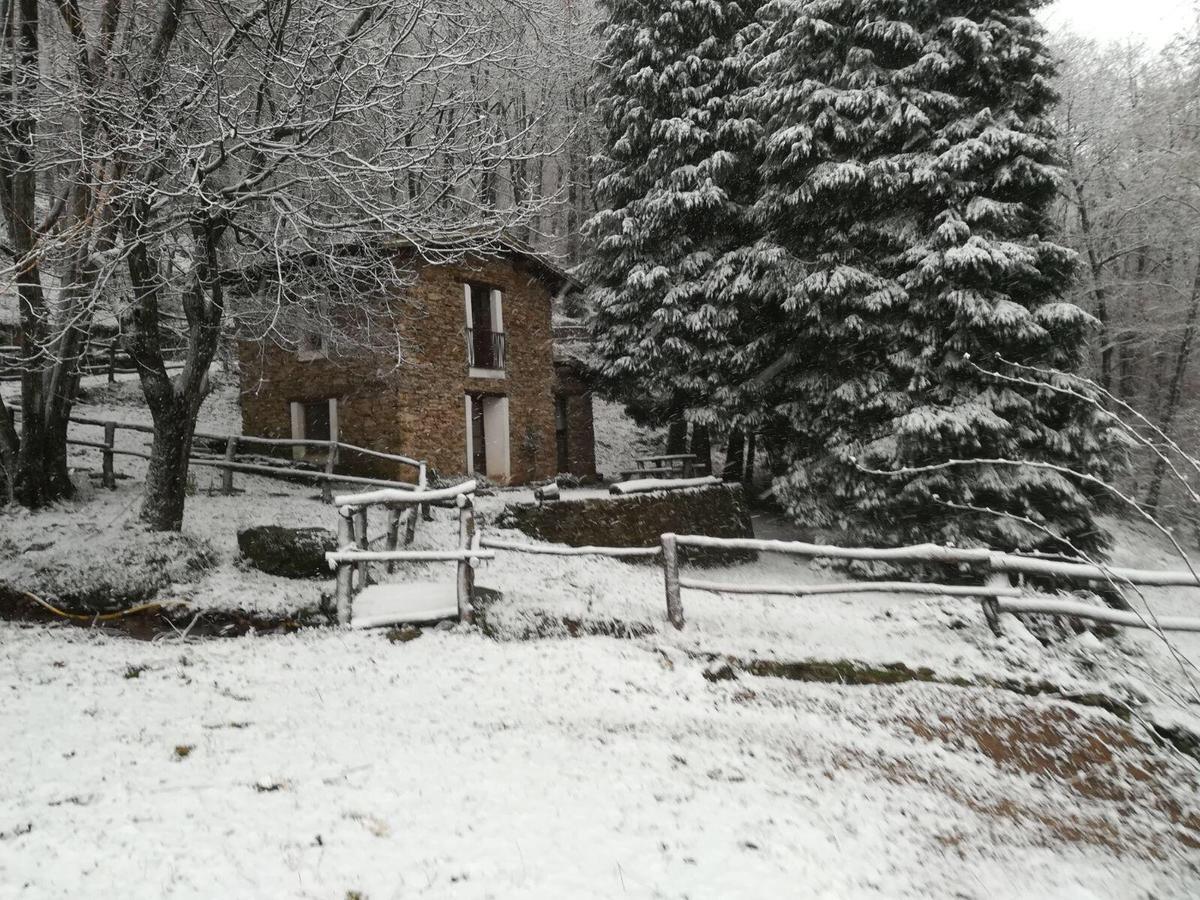 Centro Trekking A Cavallo Monte Brugiana Affittacamere Massa  Esterno foto