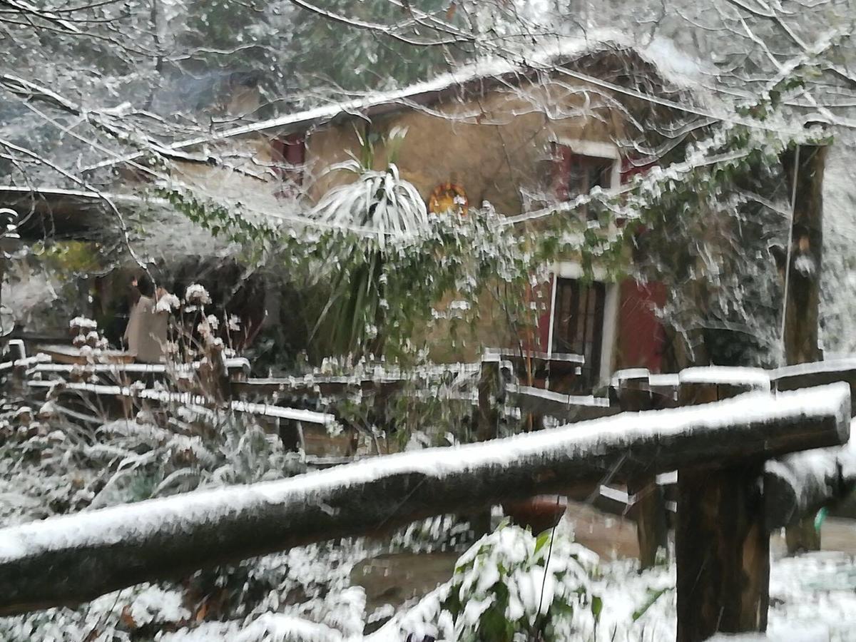 Centro Trekking A Cavallo Monte Brugiana Affittacamere Massa  Esterno foto